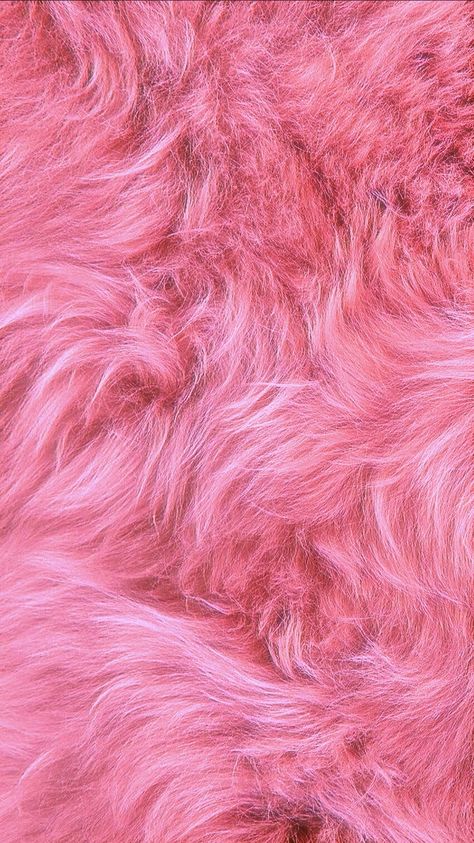 Pink Fur Background, Pink Fur Wallpaper, Fur Wallpaper, Wallpaper Backgrounds Pink, Fur Background, Backgrounds Pink, Red Aesthetic Grunge, Pink Wallpaper Backgrounds, Fur Texture