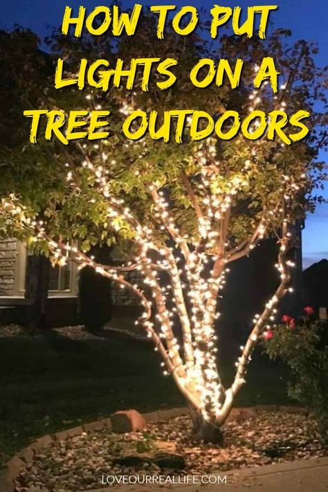 Learn the best way for outdoor trees to look great with string lights. Perfect for decorating the exterior of your home for Christmas or just to add ambiance to your outdoor patio space. #outsidechristmasdecor #stringlights #wrapatreewithlights Christmas Lights Outdoor Trees, Outdoor Tree Lighting, Christmas Lights Outside, Christmas Light Installation, Hanging Christmas Lights, Christmas Cozy, Wrapped Lights, Outdoor Christmas Tree, Outdoor Trees