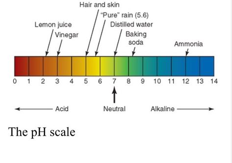 Your hair has a natural PH level. The PH level can be affected by hair products you use every day.  So what is PH? A balance of both acidity and alkalinity. The typical pH balance of hair is a… Hair Level Chart, Cosmetology State Board, Ph Scale, Ph Balanced Shampoo, Diamond Face Hairstyle, Hair Levels, Hair Science, Hair Facts, Folk Medicine