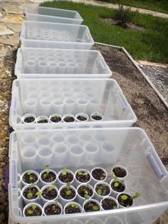 Serre Diy, درج السلم, Starting Seeds, Greenhouse Plans, Mini Greenhouse, Diy Greenhouse, Garden Greenhouse, Paper Rolls, Garden Bed