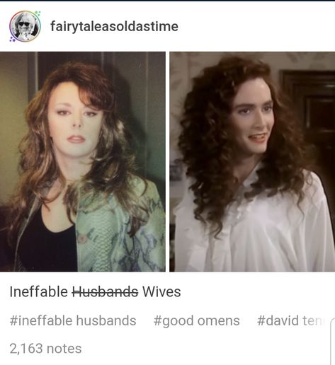 Innefable Wives, Ineffable Wives Fanart, Ineffable Wives, Fandom Jokes, Barty Crouch Jr, Old Married Couple, David Michael, Gay Books, Good Omens Book