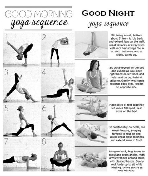 Morning and evening yoga routine Good Night Yoga, Gain Weight For Women, Good Morning Yoga, Hata Yoga, Back Workout Routine, Night Yoga, Yoga Series, Sup Yoga, Yoga Sequence