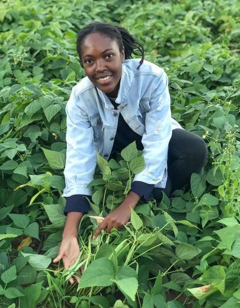 African youth are pivotal in transforming our food systems. By empowering farmers with innovative knowledge and turning agriculture into a business-oriented sector, they are driving sustainable growth & food security. Let us invest in their potential! #agriculture #agribusiness Beans Growing, Agriculture Business, Park Picnic, Growing Tips, Food System, Food Security, Zambia, Sustainable Living, Farm Life