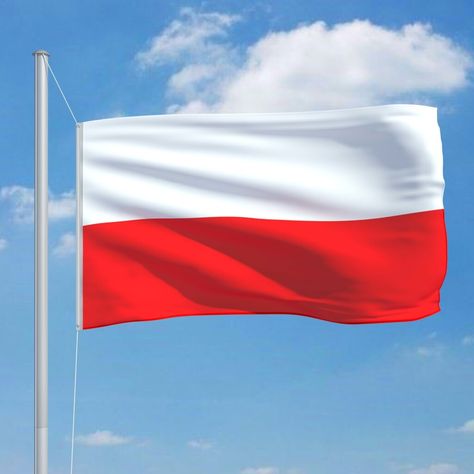 This colourful Poland flag will be an eye-catcher in your garden or at sporting events and perfect for showing your patriotic spirit. The flag is made of durable polyester and fitted with two solid brass grommets to ensure long-term use. In addition, the flag has reinforced edges and double stitching to prevent it from being torn apart. The national flag can be used with their aluminium flagpole (not included), which is available in their shop. Holland Flag, Netherlands Flag, Poland Flag, Castle Tv Shows, Ukraine Flag, Outer Hebrides, Flag Sizes, Flag Pole, National Flag