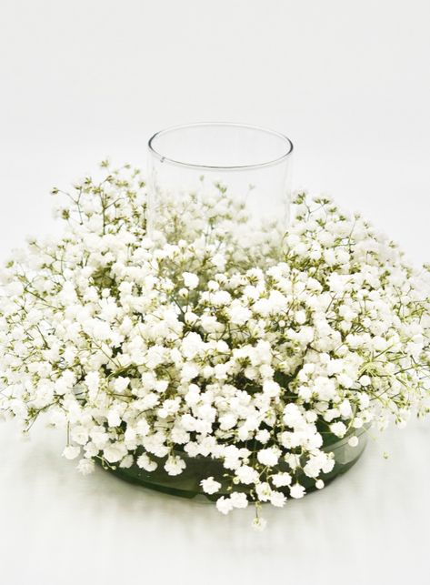 Wedding Centerpieces Baby's Breath, Flower Ball Centerpiece Wedding, Simple Baby Breath Centerpiece, Babys Breath Centerpiece Round Table, Babys Breath Table Scape, Baby Breath Flower Arrangements, Baby’s Breath Wedding Centerpiece, Babies Breath Wedding Centerpieces, Baby’s Breath Wedding Bouquet