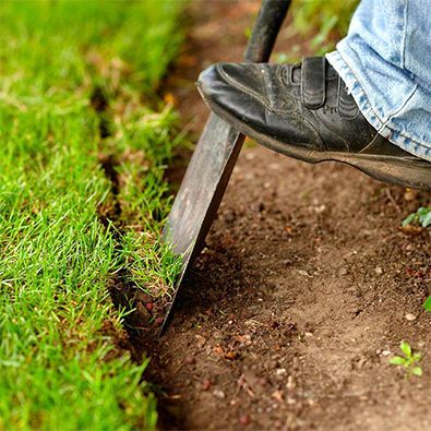 Flower Bed Edging, Landscape Edging, Lawn Edging, Garden Edging, Yard Work, Garden Bed, Landscaping With Rocks, Bedding Plants, Lawn And Garden