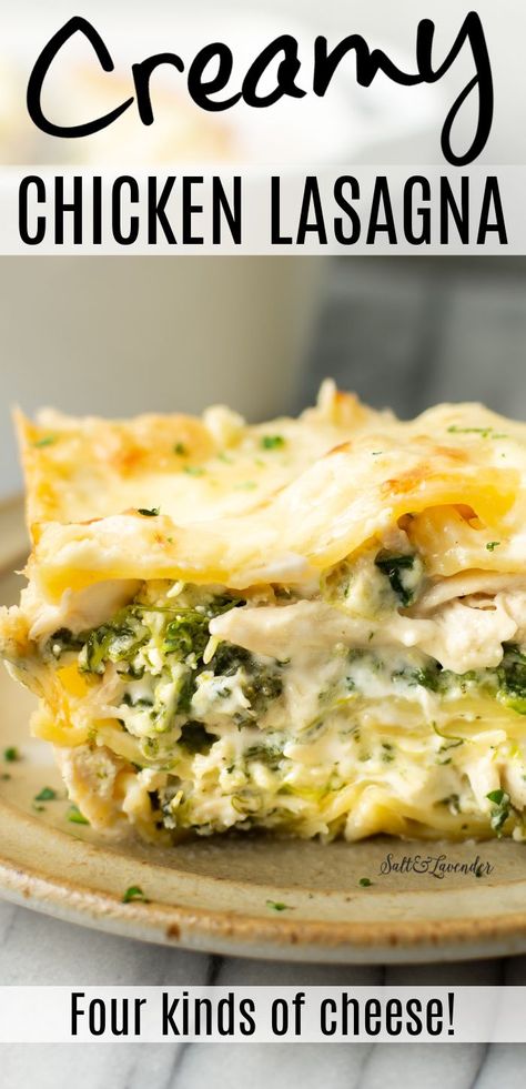 Pioneer Woman Chicken Spinach Artichoke Lasagna, Chicken Asparagus Lasagna, Creamy Chicken Lasagna Recipe, Easy White Lasagna Recipe, Chicken Broccoli Alfredo Lasagna, Chicken Vegetable Lasagna, Chicken Spinach Lasagna Recipe, Chicken Broccoli Lasagna Recipe, Chicken Broccoli Lasagna