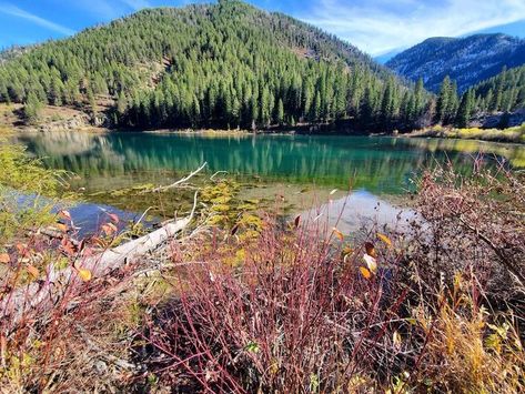 Swan Valley Idaho, Idaho Adventure, Rock Creek, Weekend Escape, Mountain Travel, Outdoor Dining Area, Outdoor Lover, Gorgeous View, Picnic Area