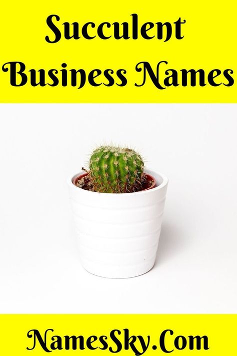 Looking for Succulent Business Names? Succulents are gradually taking their place in plant lovers’ hearts as well as in the indoor garden. Hence, investing in a business of succulents is a promising field and can show you a quick profit as well. @succulentcity @businessinsider @cactuscreek @usatoday @brandbucket Names For Plant Business, Garden Names Ideas, Succulent Business, Succulent Names, Unique Business Names, Short Names, Catchy Names, Creative Names, Names Ideas