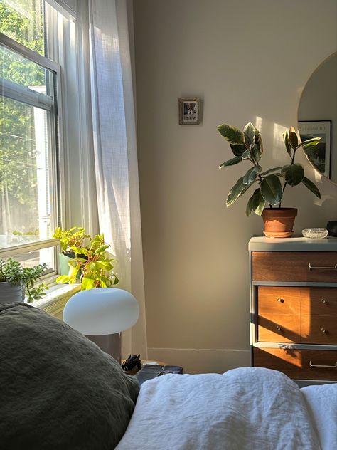 #bedroom #bedroomideas #bedroominspo #bedroomdecorideas #smallbedroomideas #cornerofmyhome #sunlight #roomideas #homedecorideas #homeinspiration #cozy #cozyhome #mcm #midcentury #minimalist #apartmenttherapy #houseplants #plants #plantsofinstagram #ficus Bedroom Inspo Minimalist Retro, Minimalist Bedroom Plants Aesthetic, Minimal Bedroom Plants, Room Inspo Plants Minimalist, Cozy Mid Century Modern Bed Room, Cute Room Ideas, Apartment Room, Room Aesthetic, Room Inspiration Bedroom