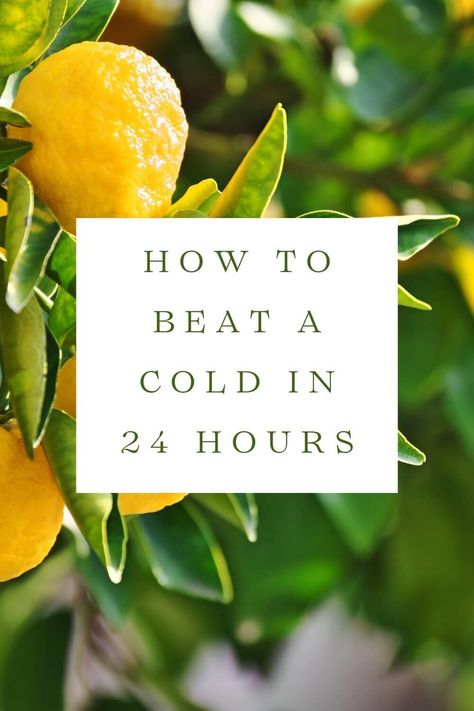 How to Beat a Cold in 24 Hours — Have Health Do Travel Best Cold Remedies, Get Over A Cold, For Sore Throat, Home Remedies For Bronchitis, Get Rid Of Cold, Mosquito Repellent Bracelet, Sick Remedies, Cold Medicine, Home Remedy For Cough