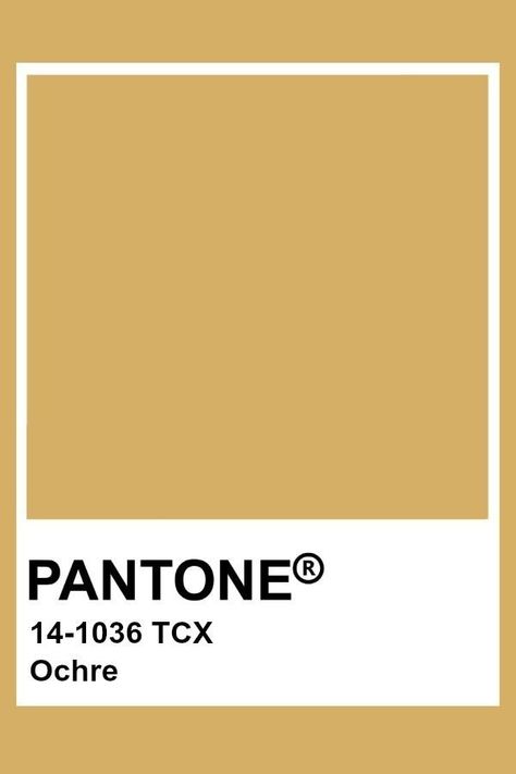 Ochre Color Aesthetic, Golden Pantone, Pantone Mustard, Ochre Color Palette, Pantone Tcx, Ochre Color, Yellow Pantone, Pantone Color Chart, Pantone Swatches