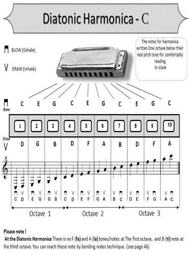 Harmonica How To Play, Music Hacks, Ukulele Songs Beginner, Harmonica Lessons, Music Basics, Reading Sheet Music, Piano Chords Chart, Learn Music Theory, Easy Piano Songs