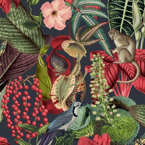 Amazon Wallpaper Black / Red Amazon Wallpaper, Jungle Prints, Jungle Fever, Wallpaper Companies, Jungle Wallpaper, Tropical Wallpaper, Bird Wallpaper, Pip Studio, Botanical Wallpaper