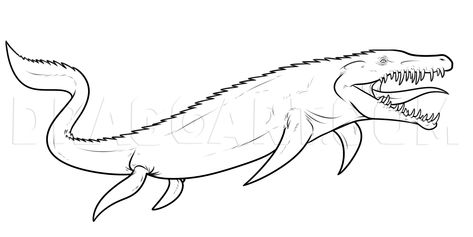 How to Draw a Mosasaurus From Jurassic World, Coloring Page, Trace Drawing Mosasaurus Tattoo, Water Dinosaur Drawing, Mosasaurus Drawing, Lego Dinosaur, Dinosaur Sketch, Skull Sleeve, Skull Sleeve Tattoos, Dinosaur Coloring Pages, Dinosaur Coloring