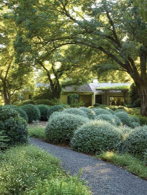 Garden Design Drawing, Italian Landscaping, Living Space Aesthetic, French Garden Ideas, California Landscaping, Italian Farm, Cabin Garden, Flower Magazine, Landscape Details