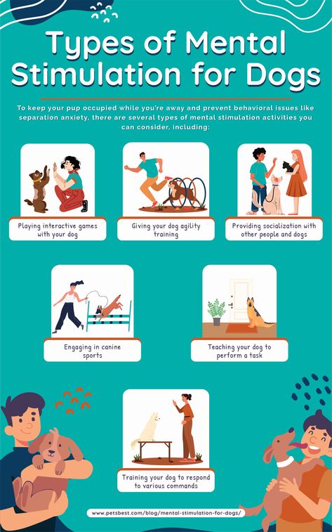 How to Provide Your Dog with Mental Stimulation Puppy Mental Stimulation, Mind Stimulation For Dogs, Puppy Stimulation Ideas, Dog Mental Stimulation, Mental Stimulation For Dogs, Stimulation For Dogs, Lacrosse Training, Danny Dog, Stimulation Activities