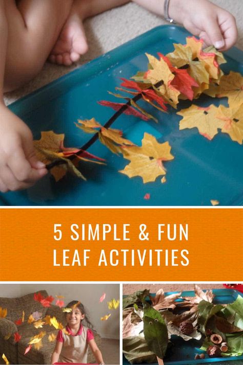 Here are a few simple leaf activities for your child to welcome fall this year. Explore these creative hands-on activities with fall leaves. Leaf Activities For Kids, Fall Leaves Activities, Leaf Activities, Autumn Preschool Theme, Easy Fall Crafts, Autumn Activities For Kids, Fall Preschool, Simple Leaf, Leaf Crafts