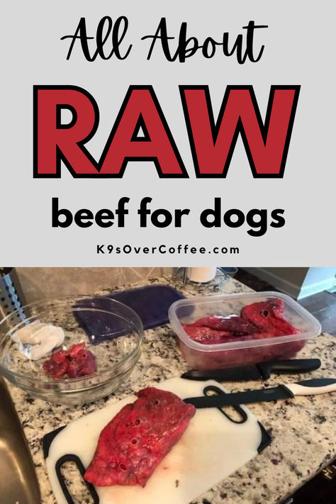 Raw beef lung for dogs is being prepared for raw dog food meal prep on a cutting board, while smaller chunks of raw beef lung sits in a round glass bowl, and the larger cuts are sitting in a square plastic food storage container. Raw Meals, Beef Heart, Raw Beef, Beef Tripe, Raw Dog Food, Eat Beef, Farm Dogs, Dog Food Brands, Raw Dog Food Recipes