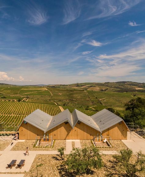 Portuguese architectural firm Carlos Castanheira has recently completed this striking eco-tourism destination, with accommodation suites that float above vast grape vines below. Architectural Firm, Future Farms, Timber Structure, Timber Deck, Exterior Cladding, Green Landscape, Roof Design, Architecture Firm, Sustainable Design