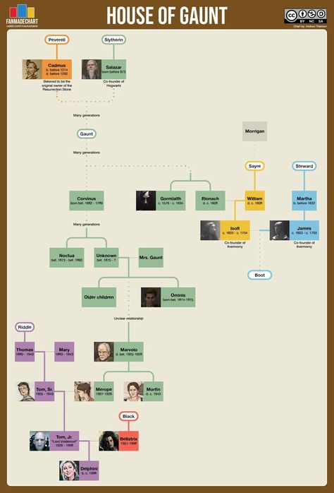 Dumbledore Family Tree, Dumbledore Family, Harry Potter Lupin, Family Trees, Co Founder, Writing Inspiration, Family Tree, Hogwarts, Harry Potter