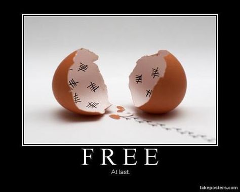 Countdown Timey Wimey Stuff, An Egg, E Card, Mail Art, Bones Funny, Fine Art Prints, Funny Pictures, Funny Quotes, Egg