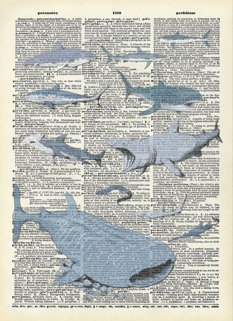 Sharks Of The World Poster, Marine Science Wallpaper, Shark Wall Print, Animal Poster Aesthetic, Cool Things To Print Out For Your Room, Ocean Posters Vintage, Ocean Poster Prints, Sea Posters Aesthetic, Jelly Fish Posters