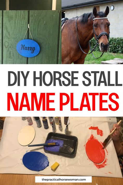 Looking to spruce up your horse stalls? Check out these DIY horse stall decoration ideas that will add a touch of personality to your barn. Whether you're looking to create custom horse stall signs or craft other DIY horse stuff, these projects are perfect for adding a unique and personal touch. Create a cozy and inviting space for your equine friends with these creative and budget-friendly ideas. Horse Stall Decorations For Fair, Easy Horse Stalls, Stall Decoration Ideas, Horse Stall Name Plates, Stall Name Plates, Diy Horse Stuff, Horse Stall Decorations, Horse Stall Signs, Custom Horse Stalls