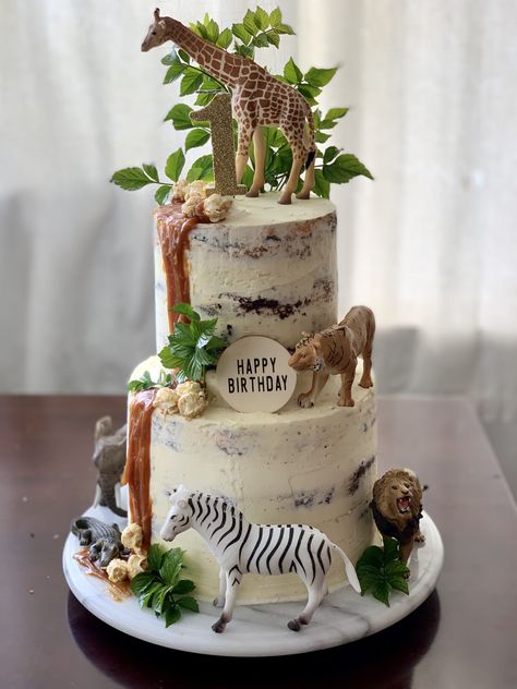 Tiger Cake, Safari Cake, Zoo Birthday Party, Wild Birthday Party, Jungle Cake, Safari Theme Birthday, Baby Boy 1st Birthday Party, Safari Cakes, Wild One Birthday Party