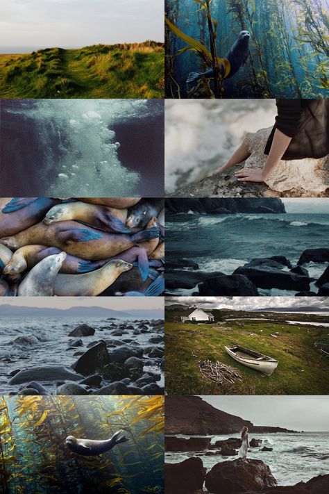 themooninajar: “For the Sea Calls to Selkies ” Cottagecore Life, Mermaid Stories, Nautical Aesthetic, Sea Shanties, Dystopian Novels, Lighthouse Keeper, Colour Story, Rennaissance Art, Mermaid Aesthetic