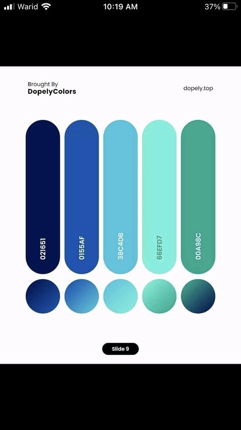 Flat Color Palette, Ui Ux 디자인, Ui Color, Gradient Color Design, Website Color Palette, Color Design Inspiration, Hex Color Palette, Color Palette Challenge, Color Schemes Colour Palettes