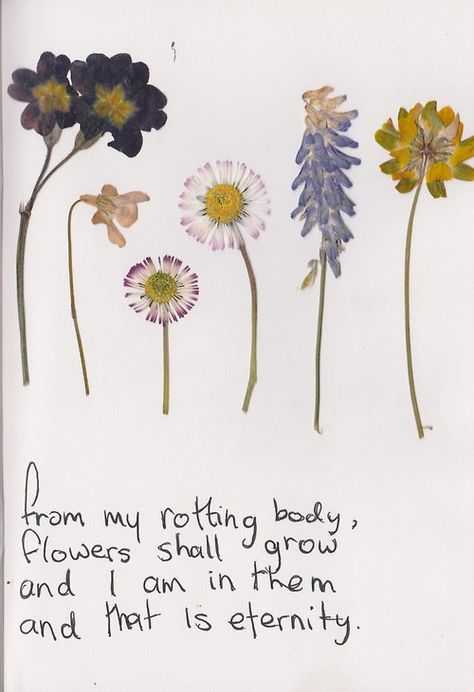 Flowerchild From My Rotting Body Flowers Shall Grow Tattoo, From My Rotting Body Flowers Shall Grow, Arie Aesthetic, Barracks Room, Body Flowers, Quotes Typography, Vintage Writing, Edvard Munch, Trendy Flowers