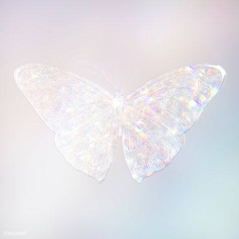 Silvery holographic butterfly design element | premium image by rawpixel.com / Tana Holographic Butterfly, About Butterfly, Butterfly Aesthetic, Butterfly White, Crystal Butterfly, White Butterfly, Pink Butterfly, Line Art Drawings, Butterfly Design