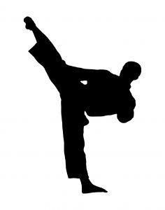 Karate Clipart, Krav Maga Kids, Martial Arts Sparring, Learn Krav Maga, Karate Kick, Silhouette Cameo 4, Best Martial Arts, Self Defense Moves, Tae Kwon Do