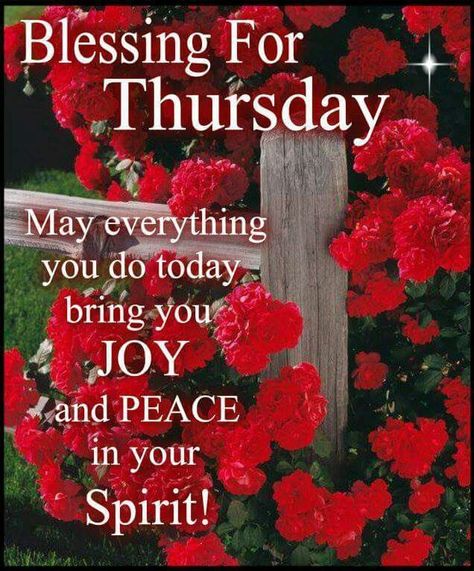 ⭐ Bless Thursday, Blessed Thursday, Pin Quotes, Happy Thursday Morning, Weekly Blessings, Good Morning Messages Friends, Happy Thursday Images, Nice Good Morning Images, Thursday Greetings