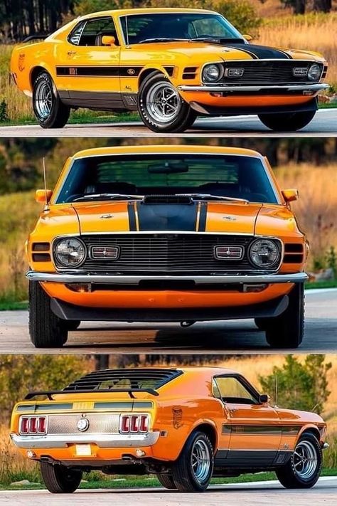 1970 Mustang, Ford Mustang Classic, Muscle Cars Mustang, Old Muscle Cars, 1970 Ford Mustang, Vintage Sports Cars, Mustang Mach 1, Classic Mustang, Ford Cars