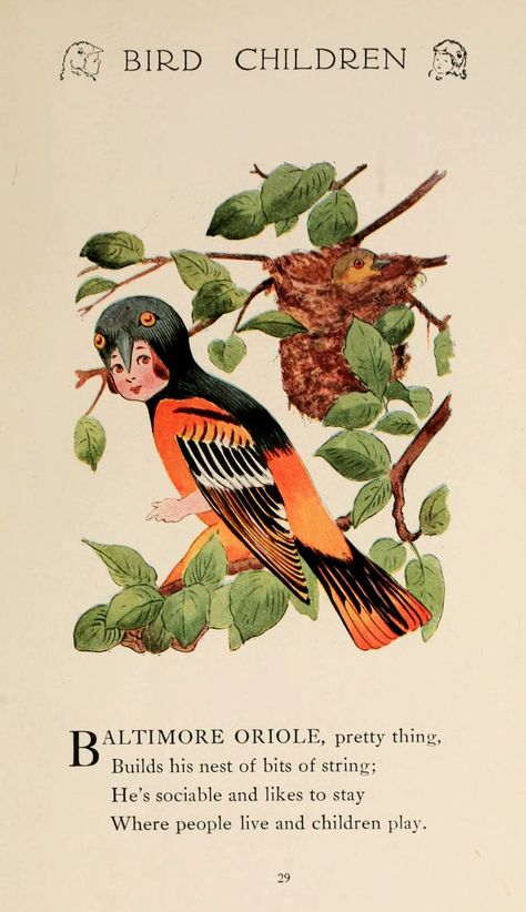 Baltimore Oriole, Vintage Bird Illustration, Illustration Vintage, Art Et Illustration, Vintage Children's Books, Bird Illustration, Art And Illustration, Vintage Birds, Flower Child