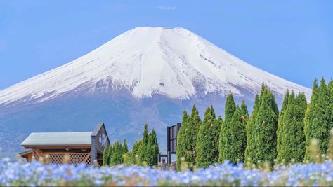 Countryside Wallpaper Desktop, Countryside Wallpaper, Japan Countryside, Sweden Aesthetic, Japanese Countryside, Shot Hair, Macbook Air Wallpaper, Phone Decoration, Desktop Setup