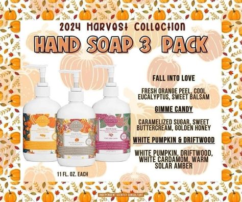 Harvest Hand Soap 3-pack ⁪ 🍁 Fall Into Love 🍁 Gimme Candy 🍁 White Pumpkin & Driftwood ⁪ #ScentsyWithCatharine #ScentsyIndependentConsultant Scentsy Fall 2024, Scentsy Hand Soap, Scentsy Sale, Scentsy Facebook Party, Scentsy Fall, Scentsy Consultant Ideas, Scentsy Independent Consultant, Caramelized Sugar, Facebook Party