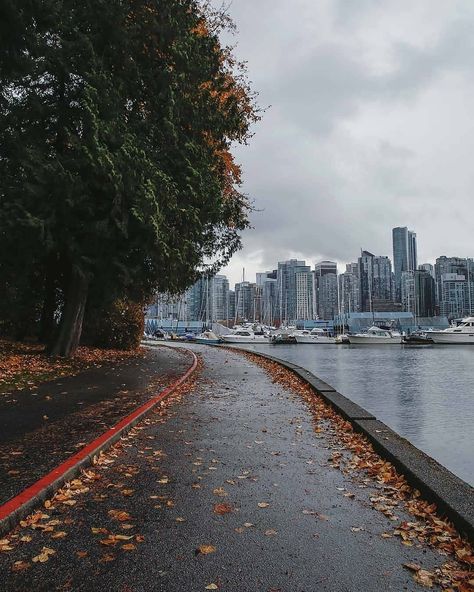 Vancouver 💚 City Sights Action on Instagram: “🔥Fall is very photogenic in Vancouver 🍁 Photo: @audreymichat . Follow @koolbodiesapparel🔥 💥” Vancouver Photos, Vancouver City, Fall Is Coming, Nice France, Napoleon Hill, Vancouver Canada, Sunshine Coast, Europe Destinations, Travel Life