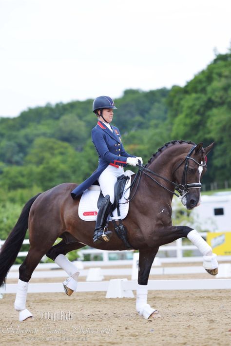 Charlotte Dujardin and Valegro Valegro Horse Dressage, Valegro Horse, Olympic Horses, Horse With Rider, Charlotte Dujardin, Dutch Warmblood, Equestrian Dressage, Rasy Koni, Horse Dressage