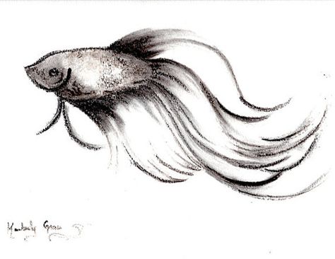 Shadow Betta Charcoal Drawing of Betta Fish by RedMothShop on Etsy, $35.00 Fish Pencil Drawing, Fish Sketches, Betta Fish Art, Lizard Painting, Charcole Drawings, Betta Fish Care, Pencil Drawing Tutorials, Drawing Charcoal, Art Charcoal