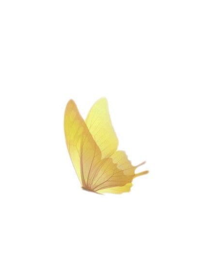 Tiny Yellow Butterfly Tattoo, Wrist Hand Tattoo, Yellow Butterfly Tattoo, Yellow Cloud, Tattoo Flowers, Nothing Is Permanent, Petite Tattoos, Yellow Garden, Yellow Theme