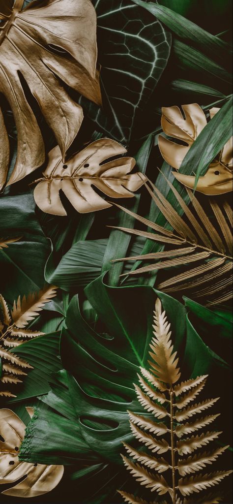 Fern Aesthetic Wallpaper, Green And Gold Aesthetic, Bedroom Inspiration Cozy, Clay Patterns, Plant Wallpaper, Gold Aesthetic, Minimalist Photography, Gold Wallpaper, Photography Branding