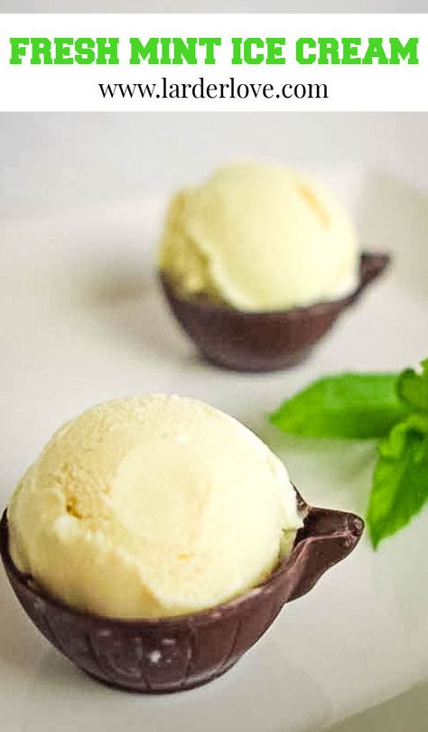 Using Fresh Mint, Mint Leaves Recipe, Mint Recipes Fresh, Mint Gelato, Mint Desserts, Mint Chocolate Ice Cream, Cuisinart Ice Cream, Cuisinart Ice Cream Maker, Dinner Mints