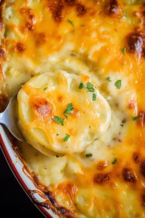 Copycat Ruth’s Chris Potatoes au Gratin - That Oven Feelin Best Scalloped Potatoes, Potatoes And Ham, Creamy Scalloped Potatoes, Scalloped Potatoes And Ham, Ham Casserole, Scalloped Potatoes Cheesy, Potatoes Au Gratin, Smoked Ham, Ham Recipes