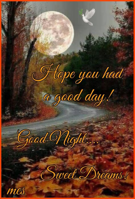 Fall Good Night Quotes, Good Night Autumn Images, Good Night Fall Images, Fall Poems, Sweet Dreams Good Night, Good Night Meme, Sun Images, Goodnight Images, Evening Blessings