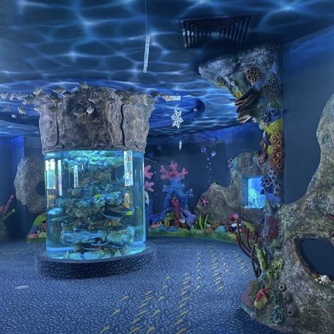 Liminal Aquarium, Frutiger Aero House, Ocean Core Room, Cleancore Aesthetic, Ocean Themed Room, Fruitiger Aero, Aquarium Pictures, Ocean Room, Seni Pastel