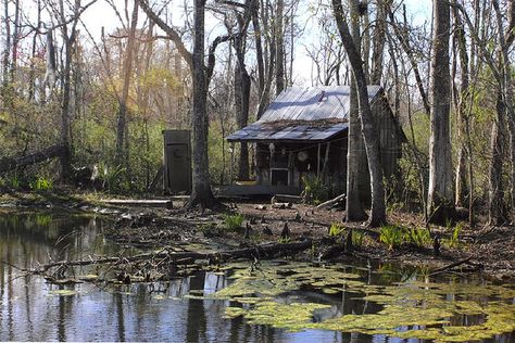 Louisiana Cajun People | Recent Photos The Commons Getty Collection Galleries World Map App ... Bayou House, Where The Crawdads Sing, Louisiana Swamp, Louisiana Bayou, Louisiana Art, Catty Noir, The Bayou, By Any Means Necessary, Southern Gothic