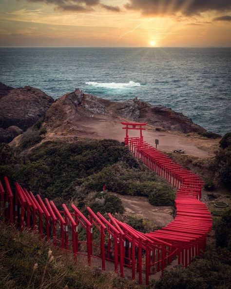 Tori Gate, Japanese Culture Art, Inari Shrine, Japanese Shrine, Shimane, Torii Gate, Sea Of Japan, Japan Photo, Pictures Of People